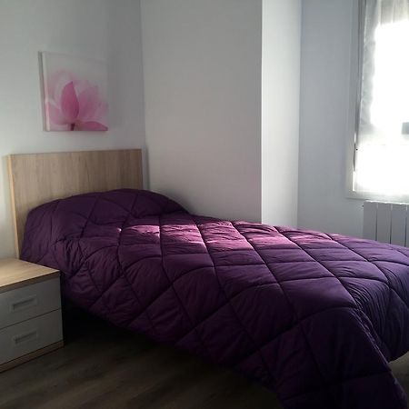 Apartamentos Jurramendi - Los Arcos Buitenkant foto